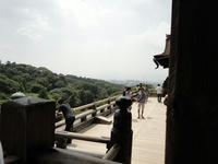 DSC00395.jpg