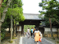 DSC00402.jpg