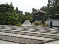 DSC00406.jpg