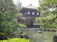 DSC00410.jpg