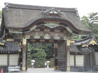 DSC00415.jpg