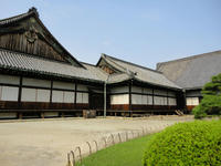 DSC00422.jpg