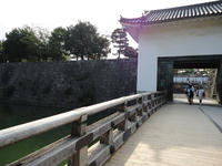 DSC00426.jpg