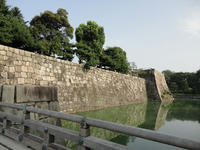 DSC00431.jpg