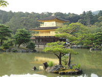 DSC00435.jpg