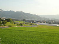 DSC00331_R.jpg