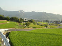 DSC00330_R.jpg