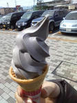 D1000416.JPG