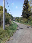 D1000449.JPG