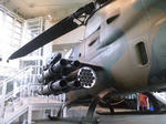 D1000501.JPG