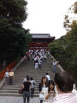 D1000525.JPG