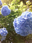 D1000536.JPG
