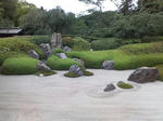 D1000539.JPG