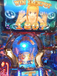 D1000631.JPG