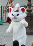 IMG_4180.JPG