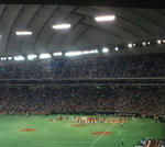 DCF00155.JPG