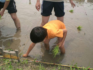 20080614_01.jpg