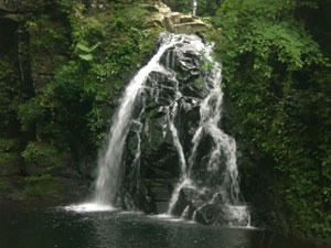 20080729_02.jpg