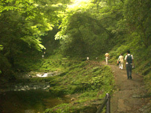 20080729_04.jpg
