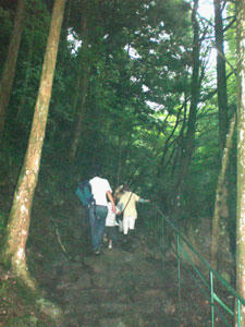 20080729_05.jpg