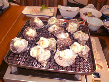 20080729_13.jpg
