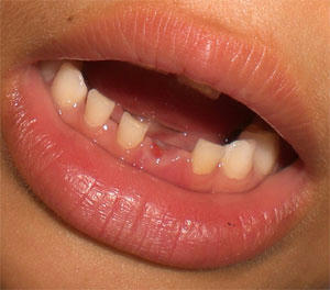 20081009_01.jpg
