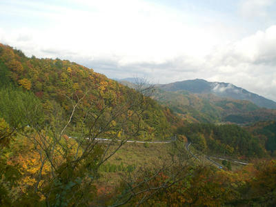 20081116_05.jpg