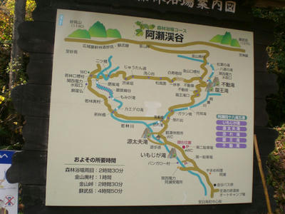 20081116_06.jpg