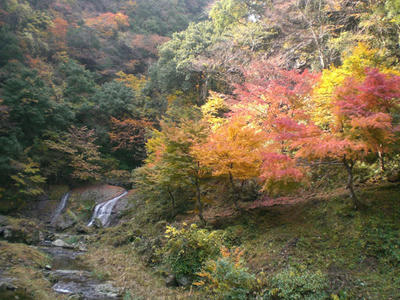 20081116_08.jpg