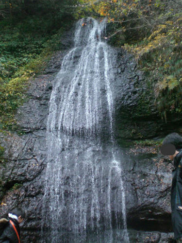 20081116_10.jpg