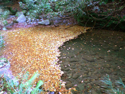 20081116_14.jpg