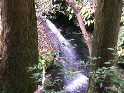 20081116_16.jpg