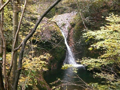 20081116_17.jpg