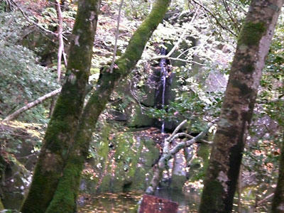 20081116_18.jpg