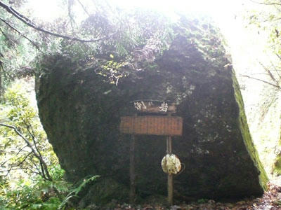 20081116_19.jpg