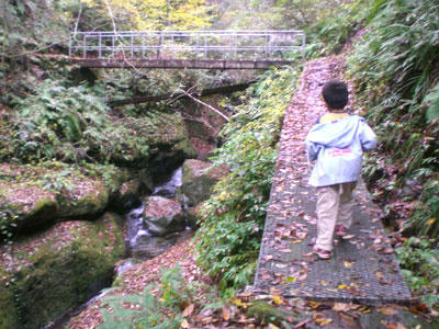 20081116_20.jpg