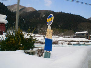 20090117_01.jpg