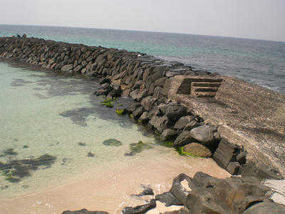 20090402_05.jpg