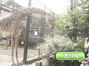 20090614_01.jpg