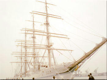 20090627_01.jpg