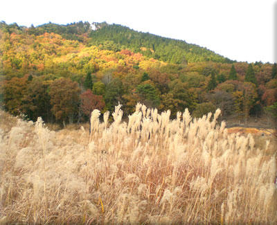 20091108_05.jpg