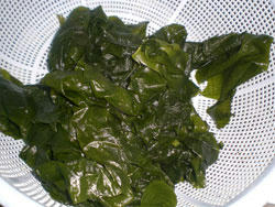 20100313_02.jpg