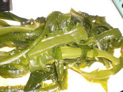 20100313_03.jpg