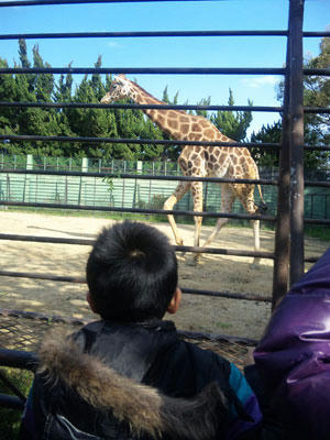 20100403_03.jpg