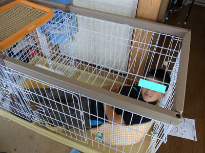 20100518_01.jpg