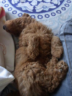 20100521_02.jpg
