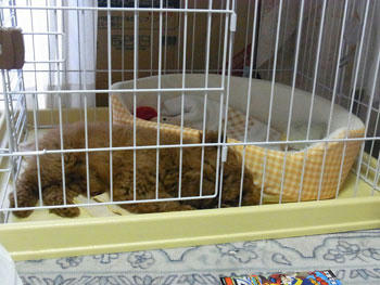 20100605_01.jpg