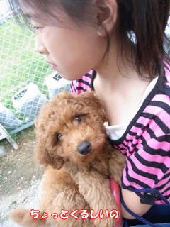 20100607_03.jpg