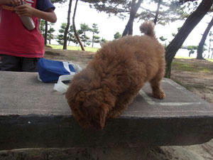 20100612_06.jpg