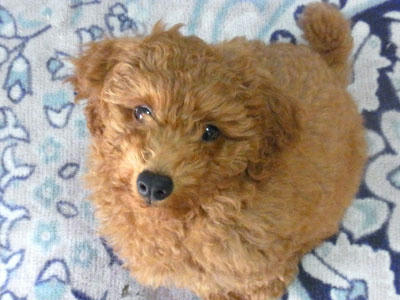 20100614_01.jpg